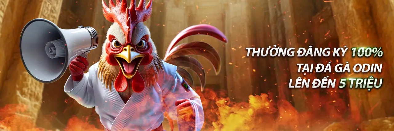 Giao diện bảng điều khiển đại lý Win55